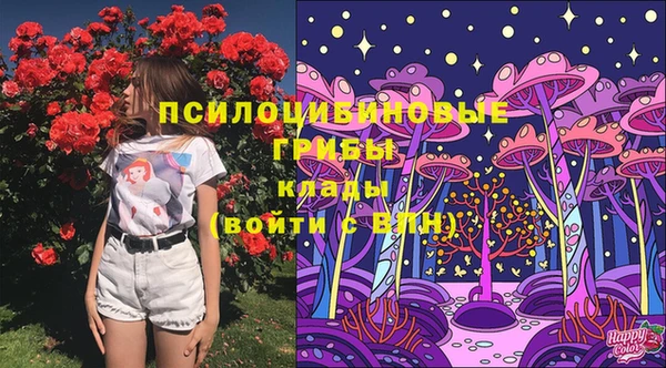 экстази Медногорск
