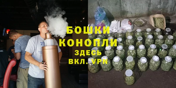 трава Мегион