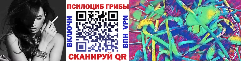Галлюциногенные грибы Magic Shrooms  купить наркотик  Чекалин 